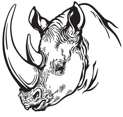 Line drawing of rhino head Royalty Free Vector Image