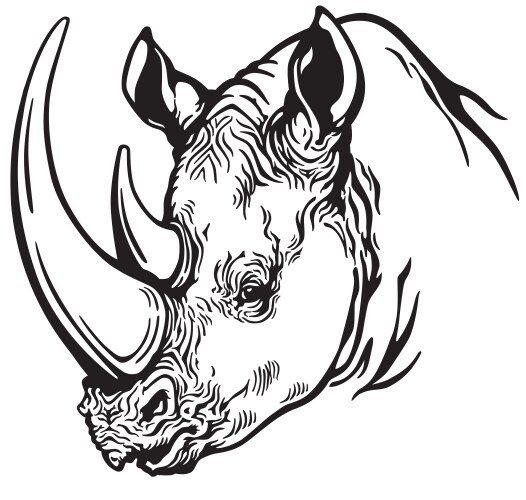 Head of rhino black white vector image