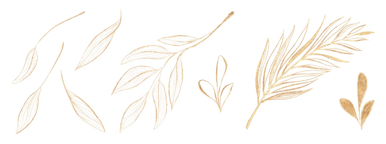 Lotus flower eco beauty gold logo Royalty Free Vector Image