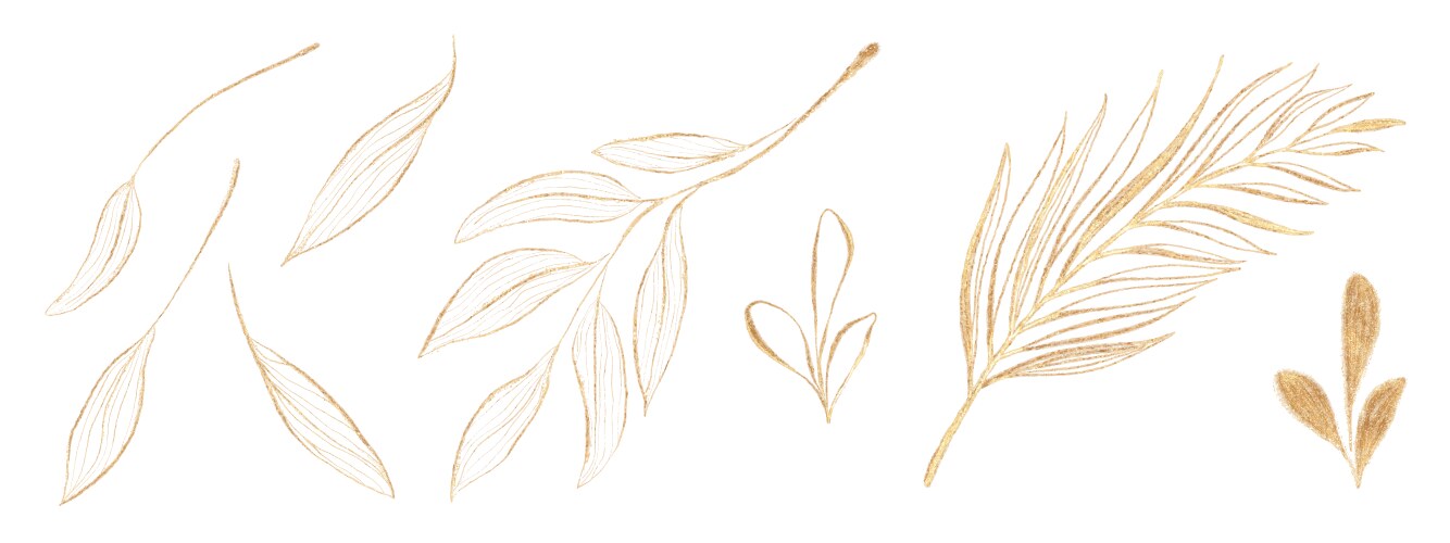 set of golden leaves vector image