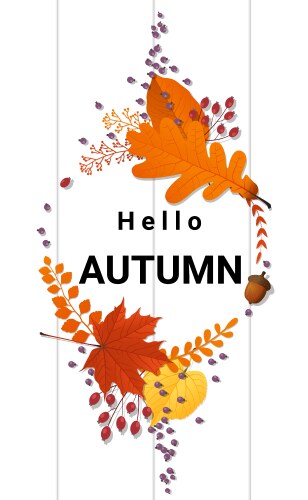 Hello autumn decorative wreath on wooden board Vector Image