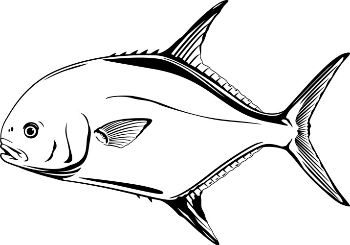 Atlantic Salmon Fish - Side View Royalty Free Vector Image