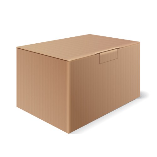 Brown Cardboard Box Vector Image