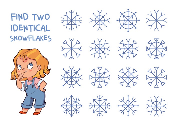 find two identical snowflakes 2 same objects vector image