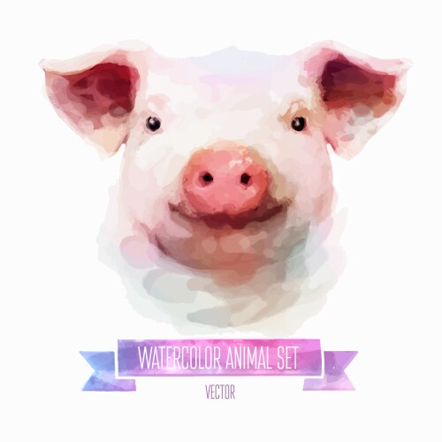 set of watercolor cute pig vector image