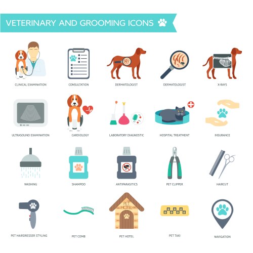 set of veterinary and grooming icons with names vector