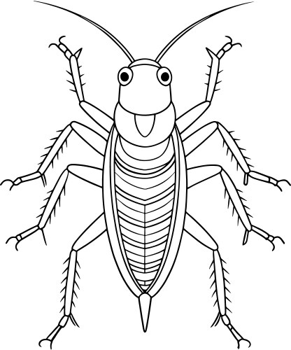 Weta coloring worksheet for insect lovers – Royalty-Free Vector ...