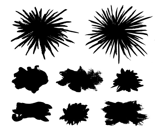 brush strokes exploding blobs burst blots vector image vector image