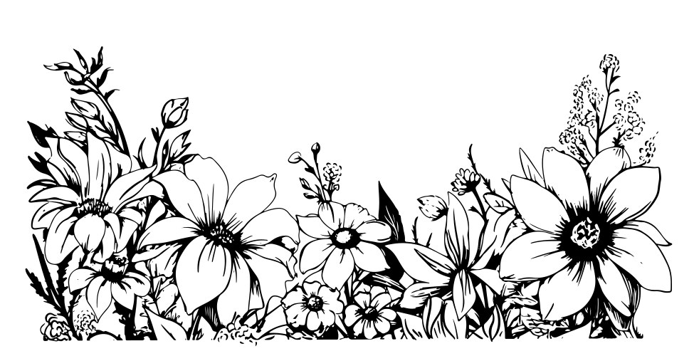 Flowers hand drawn sketch flower poppy Royalty Free Vector