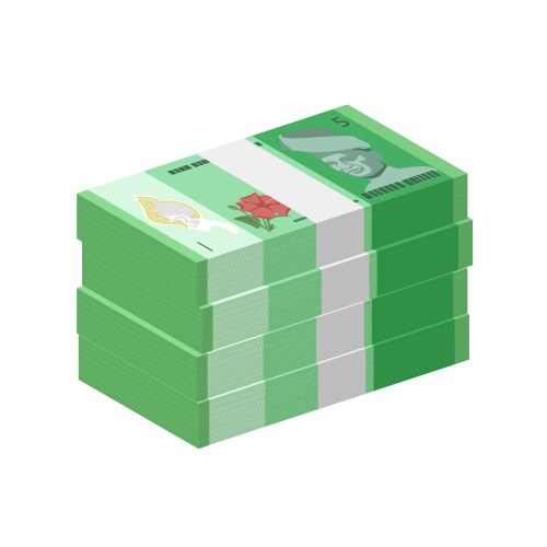 Stack Rm100 Malaysia currency banknote rm100 ringgit – Royalty-Free Vector ...