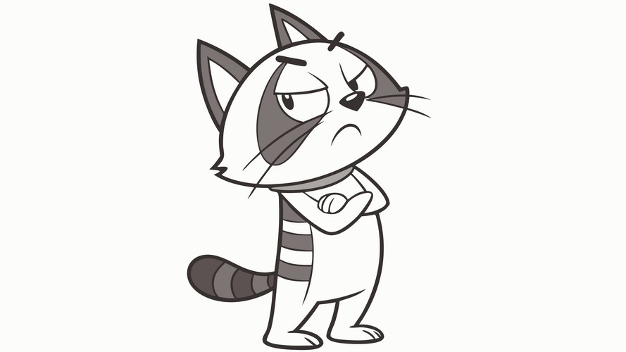 Grumpy Raccoon with Crossed Arms Vector Image