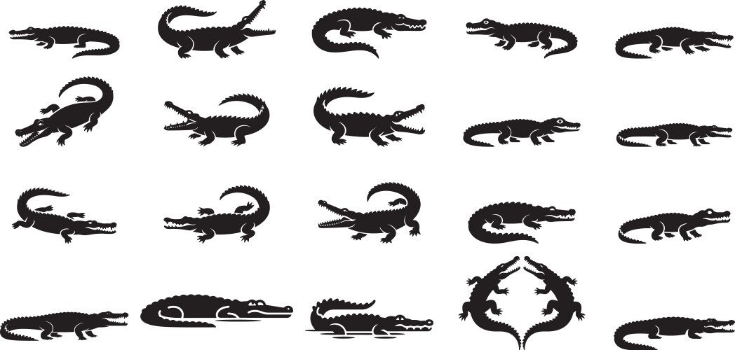 Alligator silhouettes various poses crocodile Vector Image