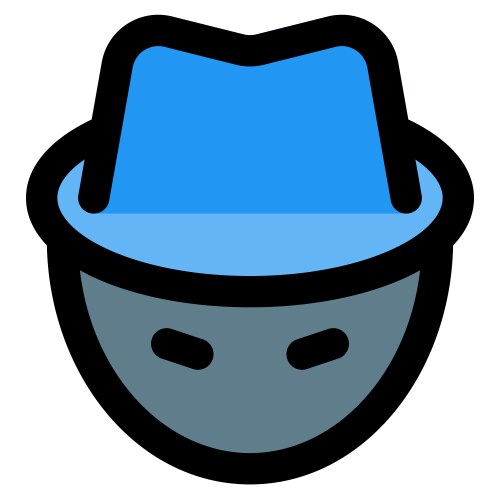 Hacker with technical skills in programming Vector Image