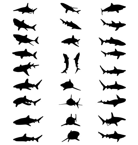 Silhouettes of sharks Vector Image