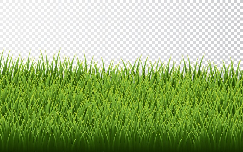 Green grass border set on transparent background Vector Image