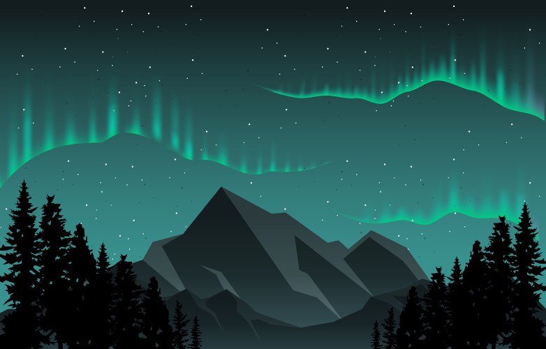 Aurora Sky Landscape Vector Image