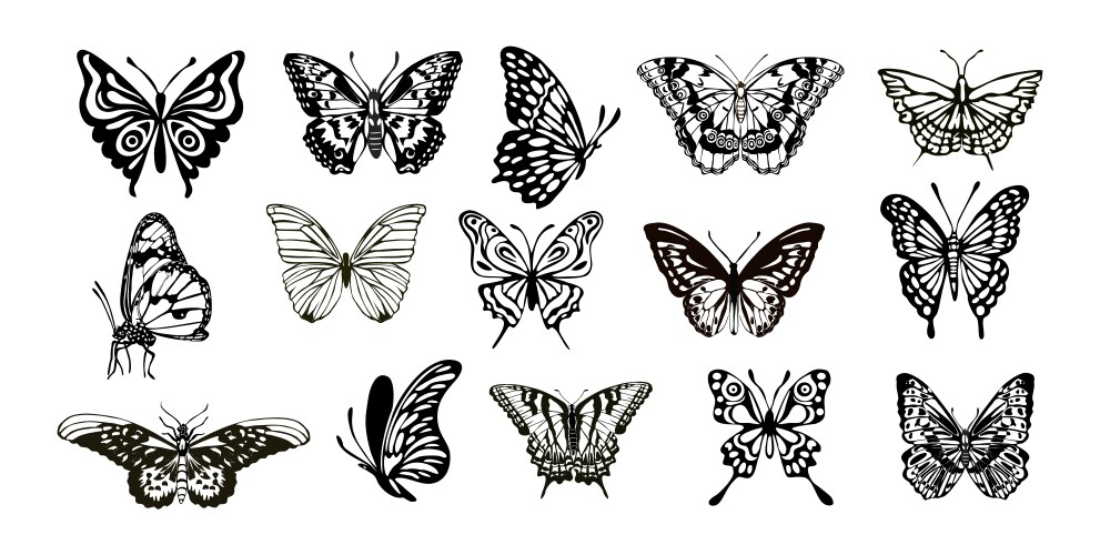 Bundle of different types butterflies isolated Vector Image