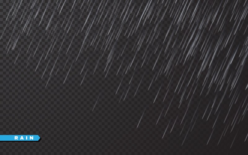 Rain drops on transparent background falling vector image