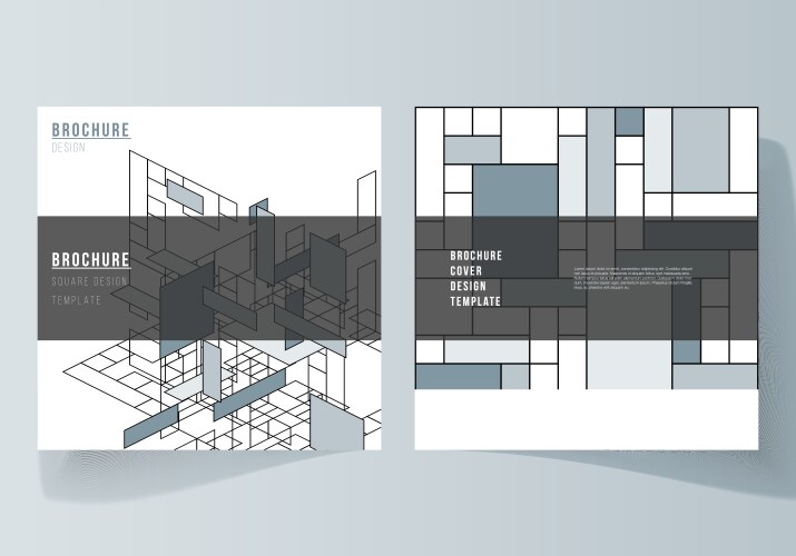 minimal layout of two square format vector image