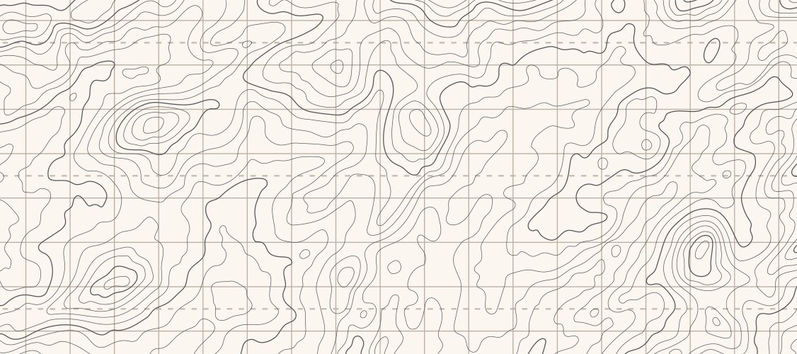 topographic map patterns topography line vector image