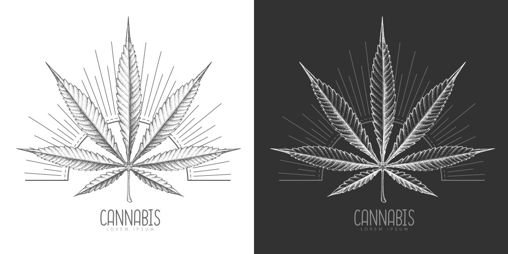 Cannabis Leaf Silhouette - Day & Night Vector Image