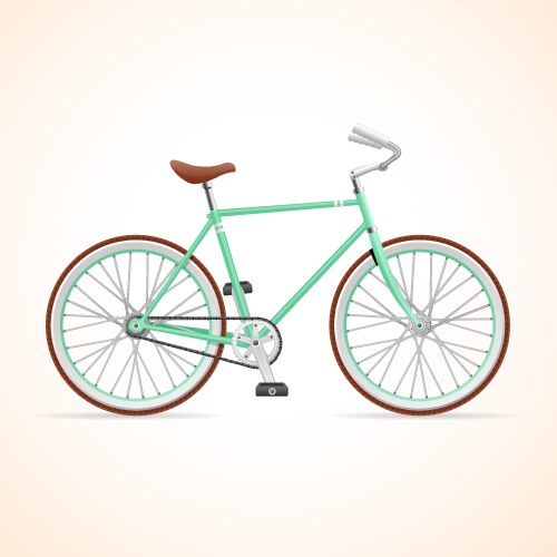 Vintage Bicycle Artwork Vector Image