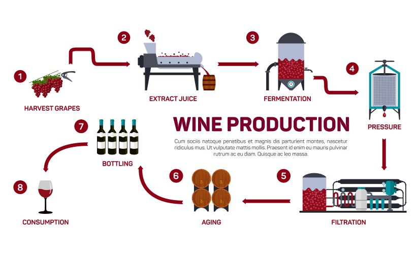 wine making how vector image