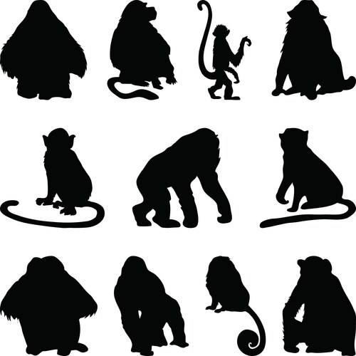 Gorilla Silhouettes (48143284) – Royalty-Free Vector | VectorStock