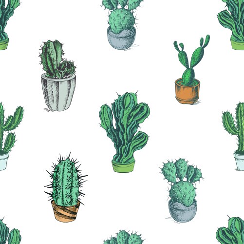 Hand-Drawn Colorful Cactus Sketch Vector Image