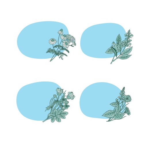 hand drawn medical herbs stickers vector image