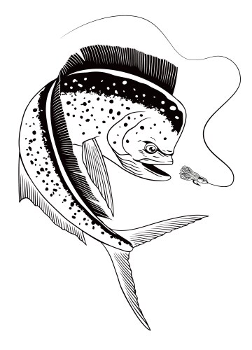 Mahi-Mahi Fishing Lure - Black and White Sketch Vector Image