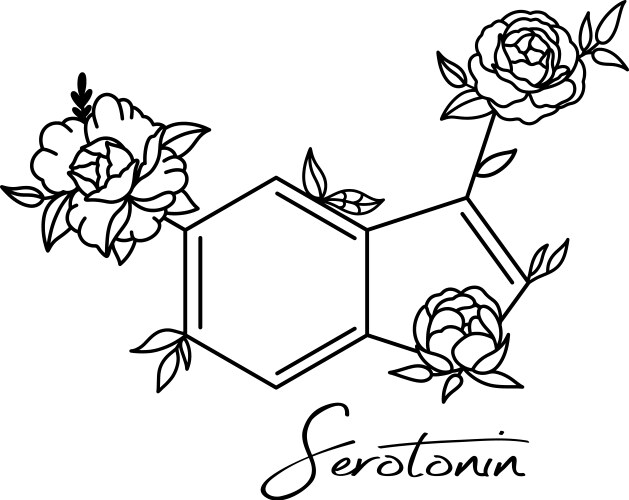 Serotonin dopamine formula Royalty Free Vector Image
