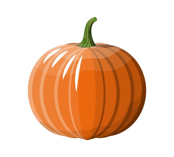 orange pumpkin vegetable