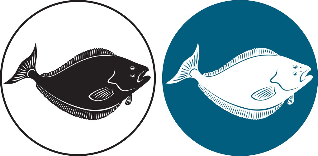 Halibut Fish Portrait – Royalty-Free Vector | VectorStock