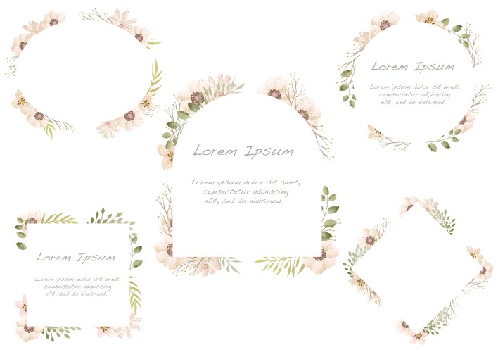 Watercolor Floral Frame Set Vector Image