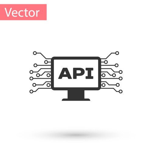 Grey computer api interface icon isolated on white vector image