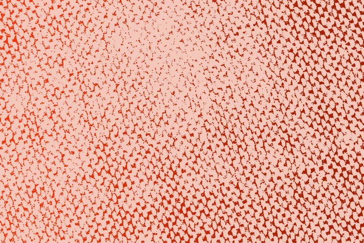 Knit texture melange color seamless pattern Vector Image
