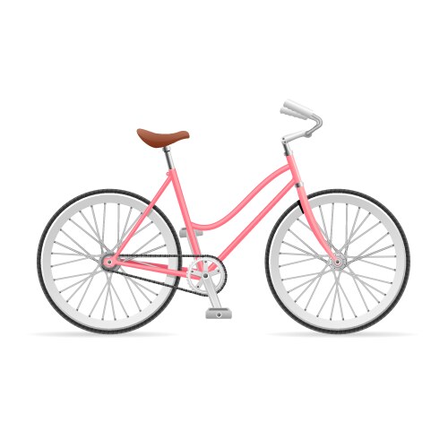 Stylish Rose Bicycle Vector Image
