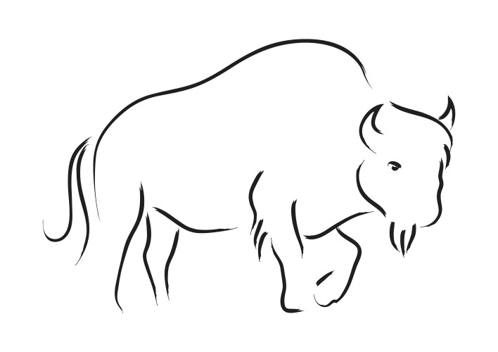 Buffalo head design on white background wild Vector Image