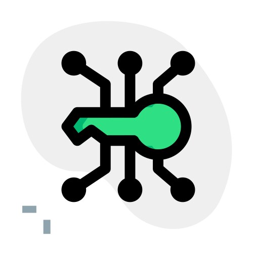 Use of key in encryption software vector image