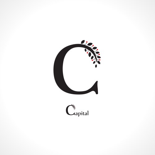 Blooming floral initial h monogram and logo Vector Image
