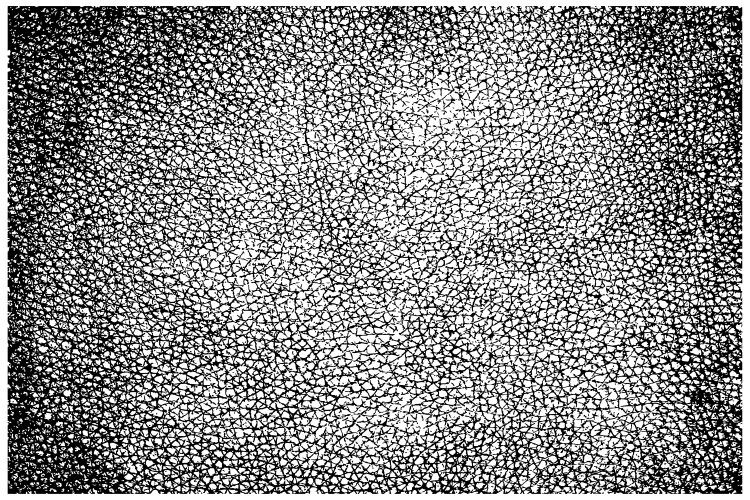 Distressed Leather Texture Vector Image