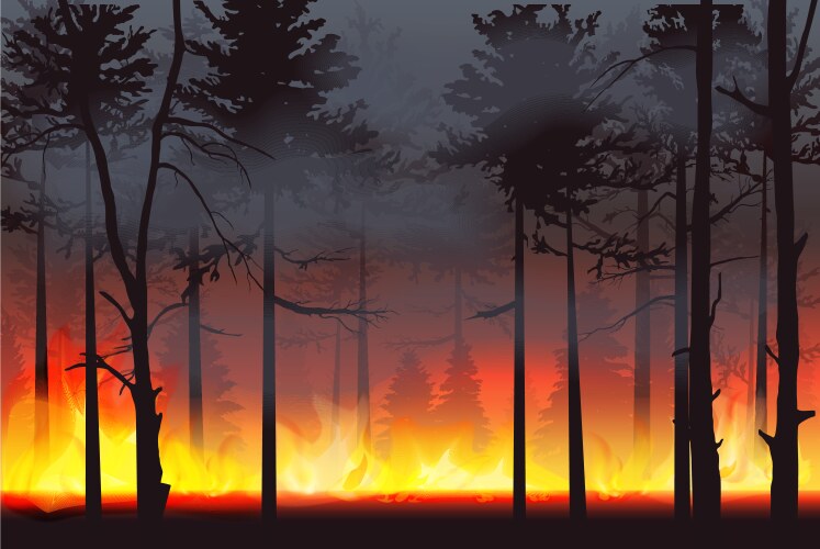 realistic silhouette wildfire forest fire disaster vector image