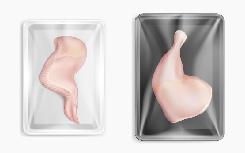 Raw Chicken and Turkey Meat in Containers Vector Image