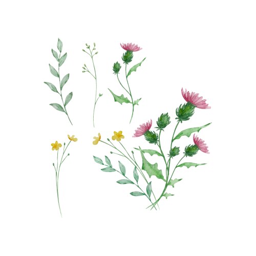 Watercolor Wildflower Bouquet Vector Image