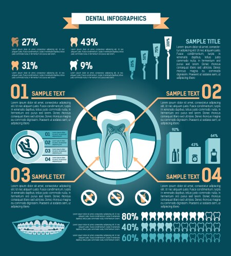 Dental infographic template Royalty Free Vector Image