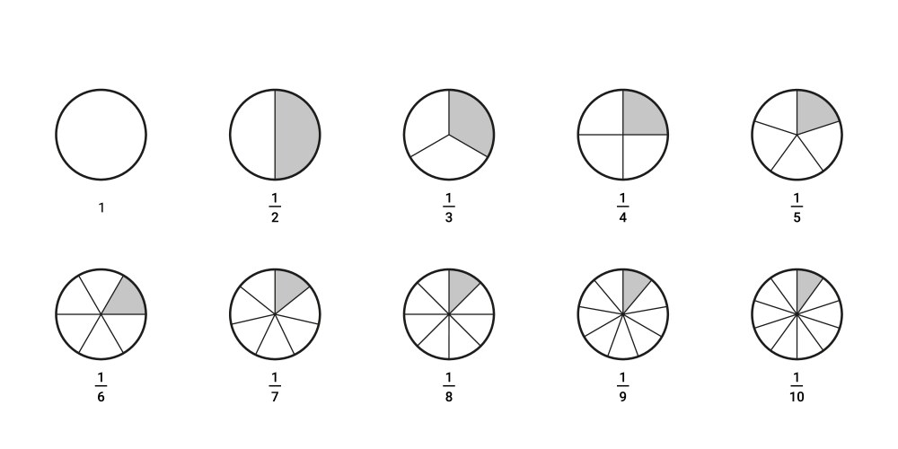 whole circle divided into parts share math vector image