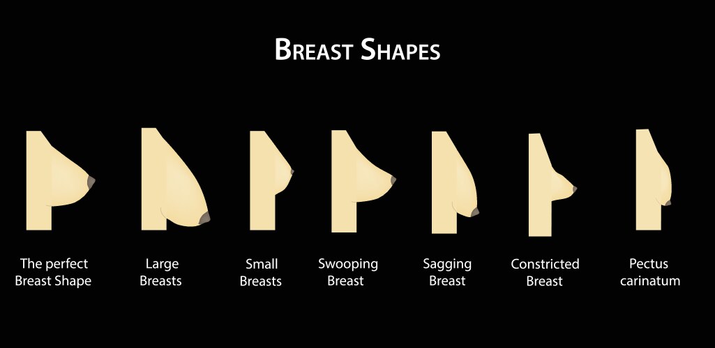 sagging-breast-vector-images-graphics-for-commercial-use-vectorstock