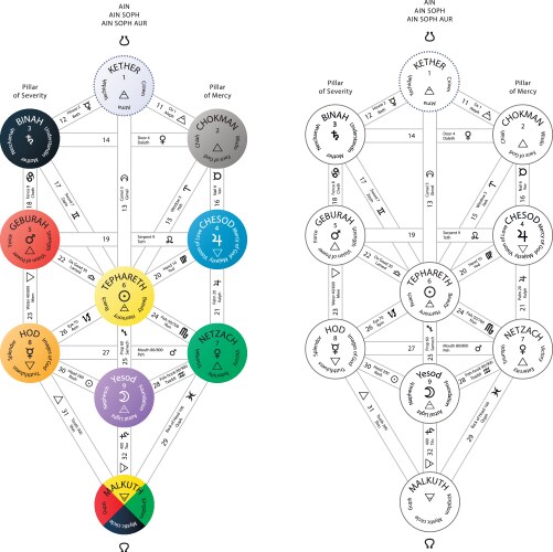 Detailed sephirot tree of life kabbalah scheme vector image