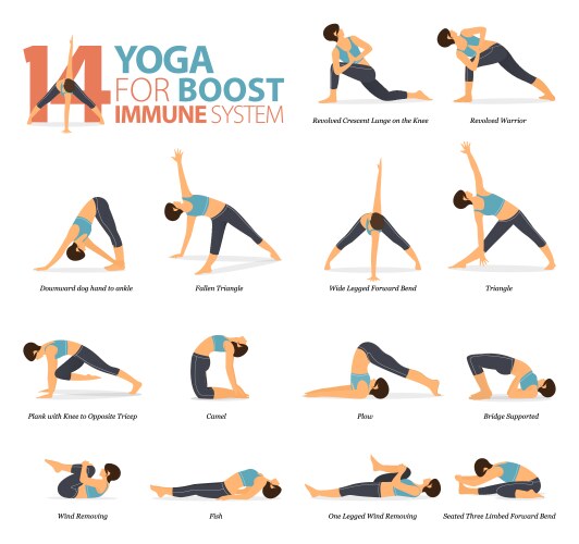 14 Yoga Poses for Immunity & Wellness Vector Image